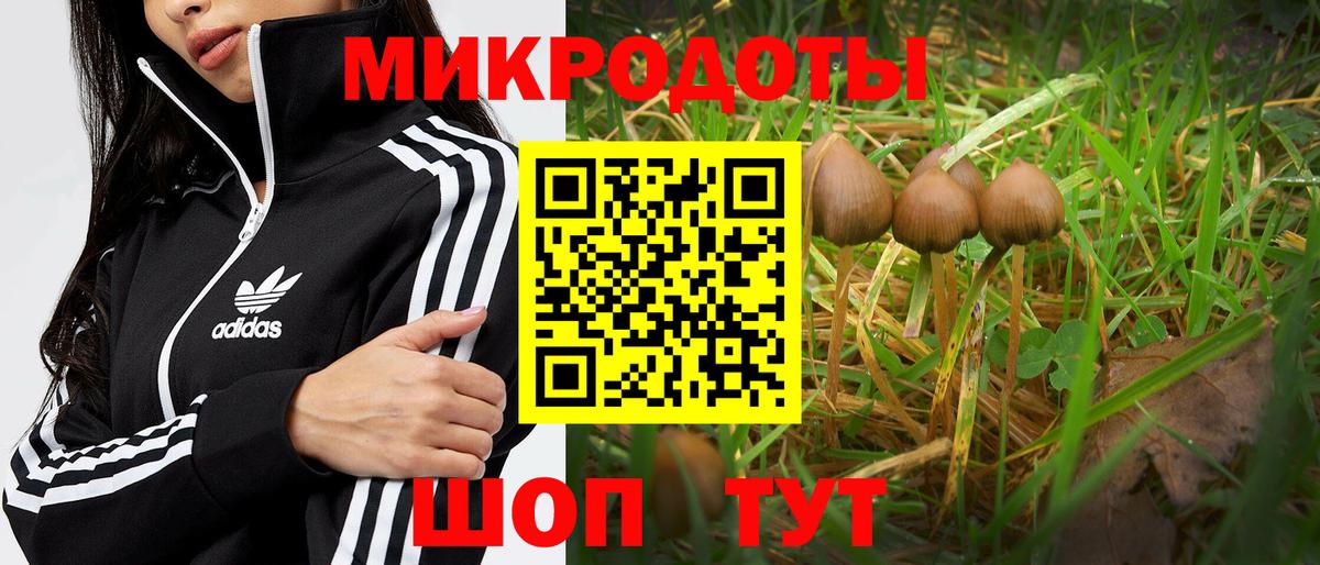 Галлюциногенные грибы ЛСД Великий Устюг