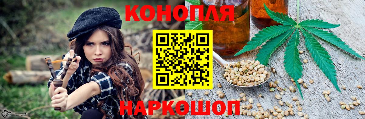 Бошки Шишки Ganja  Конопля SATIVA & INDICA  Каннабис план  Великий Устюг  Вход с VPN 